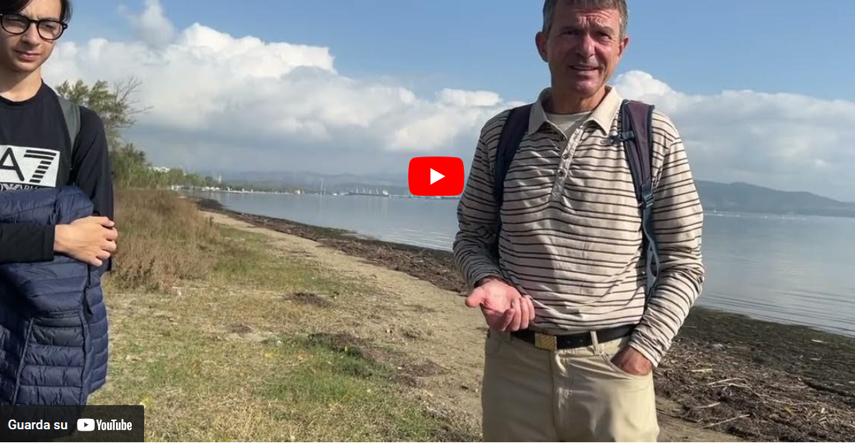 Lido di Staranzano: a place to live Nature – by the students of ISIS BEM Staranzano